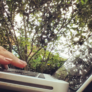 Creating blog posts outdoors